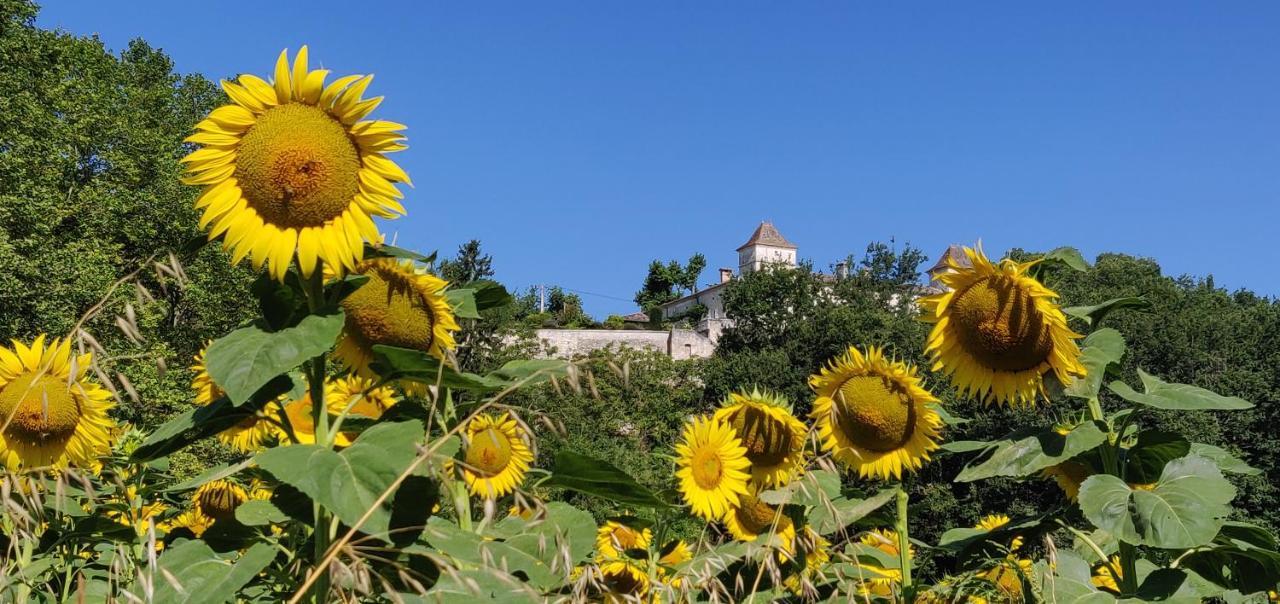 Manoir Le Bourg, Touffailles Villa Екстериор снимка